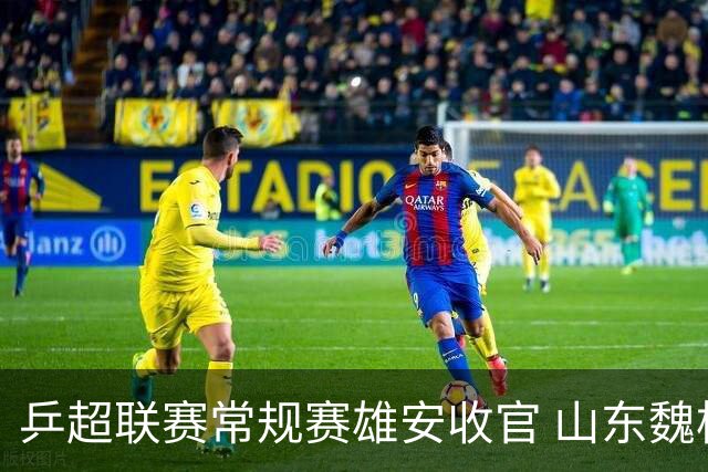 乒超联赛常规赛雄安收官 山东魏桥锁定男团第一领衔冲击总冠军