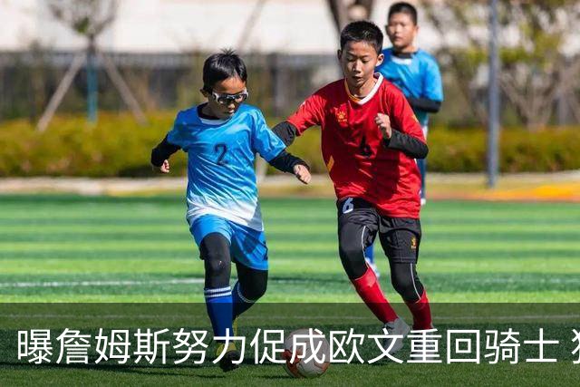 曝詹姆斯努力促成欧文重回骑士 独行侠根本没兴趣谈判