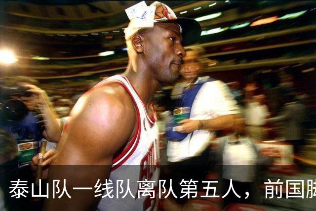 泰山队一线队离队第五人，前国脚转会云南，名单调整是看点